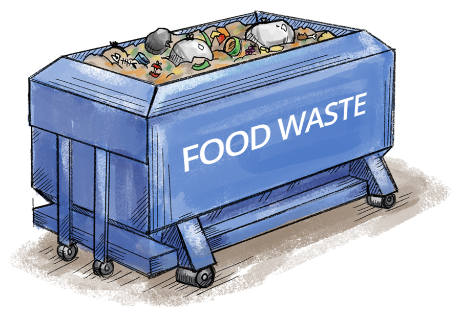 Food Waste Food Waste