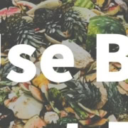 Sell by, Use by, Best by – Can I Eat This?